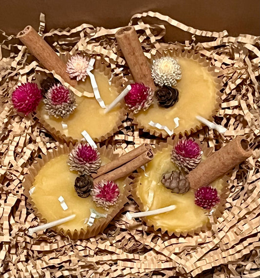 Set of 4 Beeswax Fire Starters